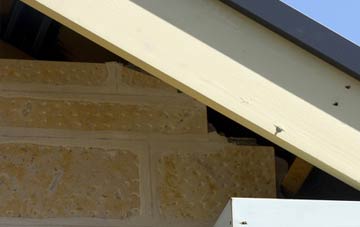 soffit repair Conyer